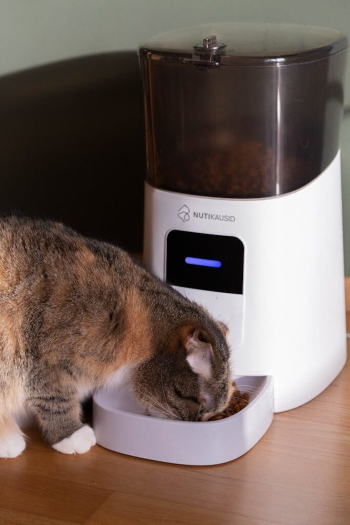 pexels photo 20109380 A domestic cat eating from an automatic pet feeder indoors. Perfect for pet lifestyle concepts.